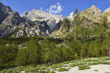 Deutschland, Bayern, Alpen, Nationalpark Berchtesgaden, Wimbachgries mit Watzmann - ES001287