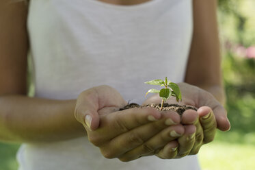 Germany, Human hands holding seedling - CR002610