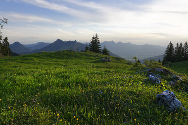 Deutschland, Bayern, Oberbayern, Chiemgauer Alpen, Samerberg, Hochriesgebiet bei Grainbach - LB000825