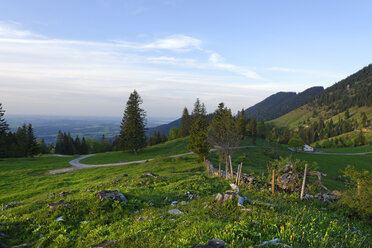 Deutschland, Bayern, Oberbayern, Chiemgauer Alpen, Samerberg, Hochriesgebiet bei Grainbach - LB000824