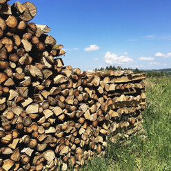 Belgium, Province Luxembourg, The Ardennes, Firewood - GWF003016