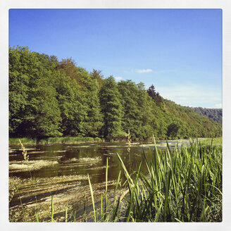 Belgien, Provinz Luxemburg, Die Ardennen, Fluss Semois - GWF003020