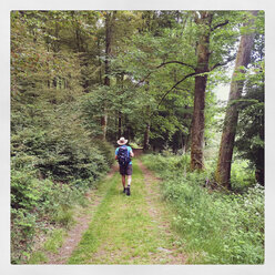 Belgien, Provinz Luxemburg, Die Ardennen, Mann wandert in den Ardenner Wäldern - GWF003038