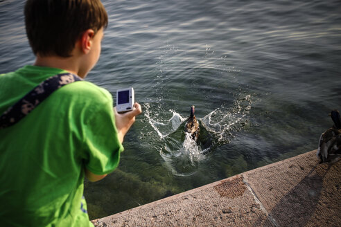 Italien, Venetien, Garda, Gardasee, Junge fotografiert eine Ente - SBDF001047