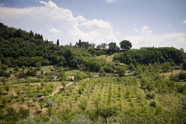 Italy, Tuscany, Chianti, view to Tuscan landscape - SBDF001034