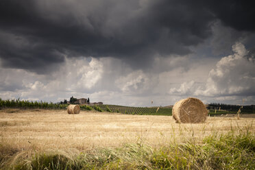 Italy, Tuscany, Chianti, Tuscan landscape with haybales at upcoming thunderstorm - SBDF001036