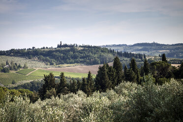 Italien, Toskana, Hügellandschaft - SBDF001078