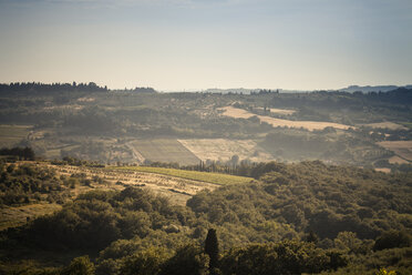 Italien, Toskana, San Casciano in Val di Pesa, Hügellandschaft - SBDF001132