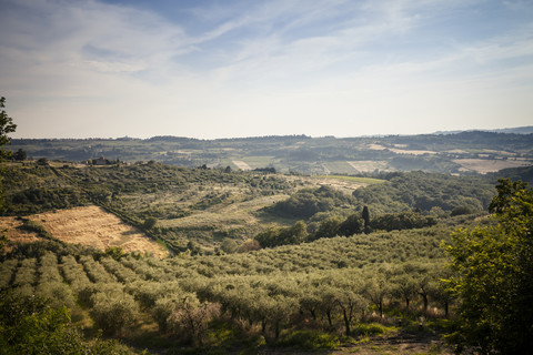 Italy, Tuscany, San Casciano in Val di Pesa, rolling landscape stock photo