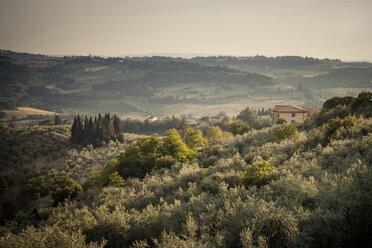 Italien, Toskana, San Casciano in Val di Pesa, Hügellandschaft - SBDF001134