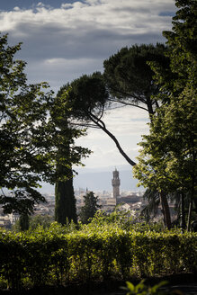 Italien, Toskana, Florenz, Pinienbäume und Turm des Palazzo Vecchio - SBDF001092