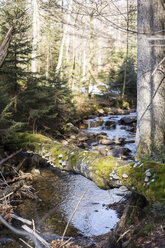 Deutschland, Bayern, Gebirgsbach im Bayerischen Wald - STB000191