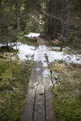 Germany, Bavaria, wooden boardwalk with leftovers of ice - STB000193