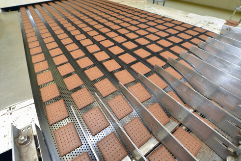 Deutschland, Sachsen-Anhalt, Reihen von Kakaokeksen am Fließband in einer Backfabrik - LYF000270