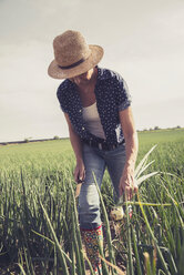 Mature woman working on onion field - UUF001464