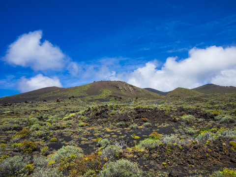 Spanien, Kanarische Inseln, La Palma, Faro de Fuencaliente, Vulkanische Landschaft und Vegetation, lizenzfreies Stockfoto