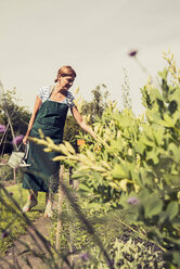 Reife Frau bei der Gartenarbeit - UUF001498