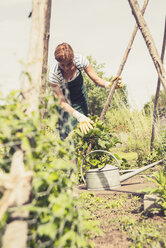 Mature woman gardening - UUF001485