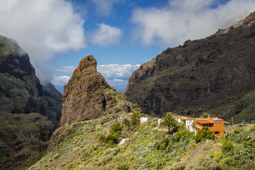 Spanien, Kanarische Inseln, Teneriffa, Teno-Gebirge, Barranco de Masca, Dorf Masca - WGF000367