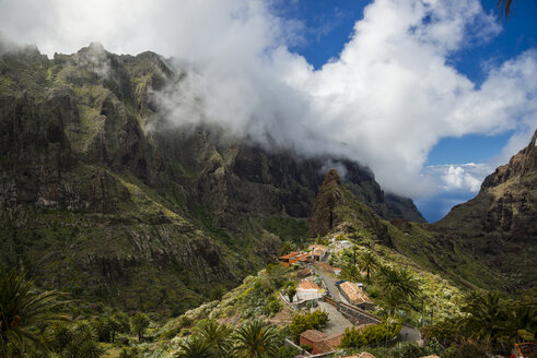 Spain, Canary Islands, Tenerife, Teno Mountains, Barranco de Masca, Village Masca - WGF000368