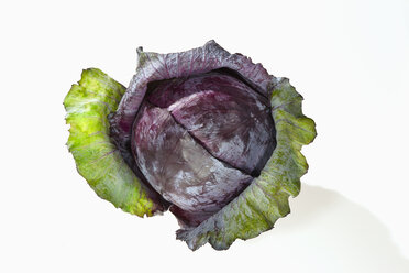 Rotkohl, Brassica oleracea convar. capitata var. rubra L., auf weißem Hintergrund - CHF000073