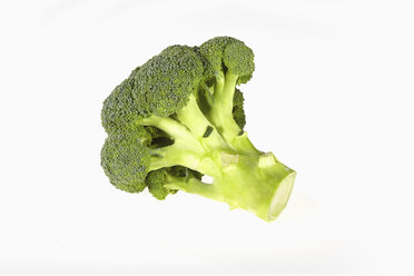 Broccoli, Brassica oleracea var. italica Plenck, on white background - CHF000076