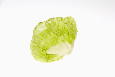 Iceberg Salad, Lactuca sativa, on white background stock photo