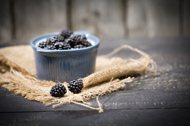 Schale mit Brombeeren, Rubus sectio Rubus, auf Jute und dunklem Holz - MAEF008820