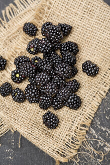 Brombeeren, Rubus sectio Rubus, auf Jute, Ansicht von oben - MAEF008822