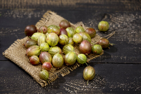 Stachelbeeren, Ribes uva-crispa, auf Jute und dunklem Holztisch - MAEF008829