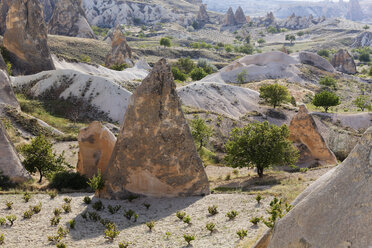 Türkei, Kappadokien, Goereme, Pasabag, Feenschornsteine im Goereme National Park - SIEF005698