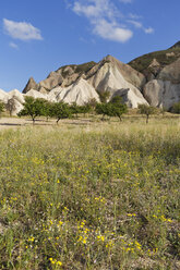 Türkei, Kappadokien, Goereme, Pasabag, Feenschornsteine im Goereme National Park - SIEF005701