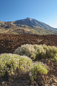 Spanien, Kanarische Inseln, Teneriffa, Teide National Park, Blick auf den Vulkan Teide - RJF000233