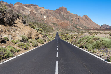 Spain, Canary Islands, Tenerife, Teide National Park - RJF000235