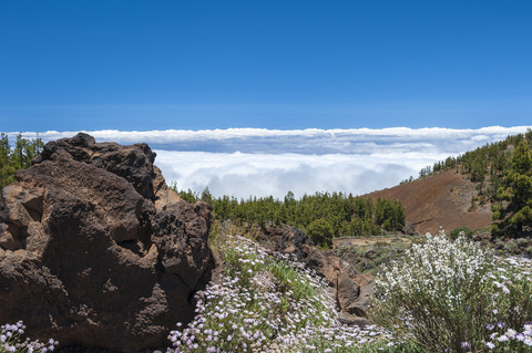 Spanien, Kanarische Inseln, Teneriffa, Teide-Nationalpark, lizenzfreies Stockfoto