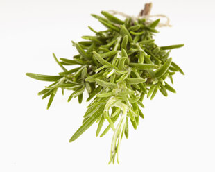 Rosmarinstrauß, Rosmarinus Officinalis - CHF000086