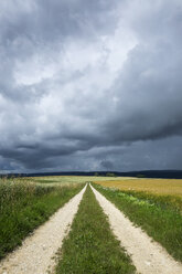 Germany, Constance district, thunderclouds over fields landscape with path in the foreground - ELF001233