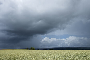 Germany, Constance district, stormy atmosphere over Black Forest - ELF001235