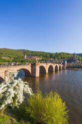 Germany, Baden-Wuerttemberg, Heidelberg, Old town, Old bridge, Church of the Holy Spirit and Heidelberg Castle - WDF002524