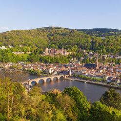 Germany, Baden-Wuerttemberg, Heidelberg, View to Old town, Old bridge, Church of the Holy Spirit and Heidelberg Castle - WDF002526