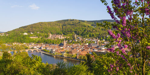 Deutschland, Baden-Württemberg, Heidelberg, Blick auf Altstadt, Alte Brücke, Heiliggeistkirche und Heidelberger Schloss - WDF002527