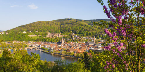 Germany, Baden-Wuerttemberg, Heidelberg, View to Old town, Old bridge, Church of the Holy Spirit and Heidelberg Castle - WDF002527