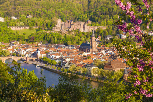 Deutschland, Baden-Württemberg, Heidelberg, Blick auf Altstadt, Alte Brücke, Heiliggeistkirche und Heidelberger Schloss - WDF002528