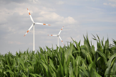 Germany, Saxony, Wind turbines in maizefield - LYF000221