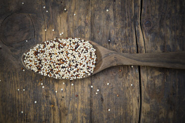 Organic Quinoa, Chenopodium quinoa, Tricolour, on wooden spoon - LVF001685