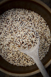 Organic Quinoa, Chenopodium quinoa, Tricolour, in a bowl - LVF001686