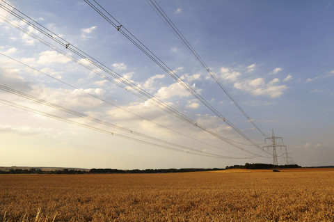 Deutschland, Sachsen, Weizenfeld und Strommast, lizenzfreies Stockfoto