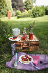 Picknick im Park mit Beerenkuchen und frischen Getränken - EVGF000775