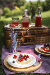 Picknick im Park mit Beerenkuchen und frischen Getränken - EVGF000776