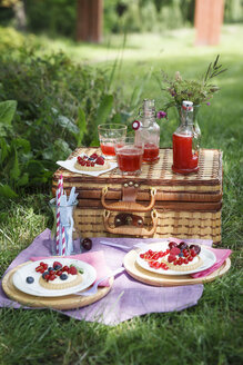 Picknick im Park mit Beerenkuchen und frischen Getränken - EVGF000777